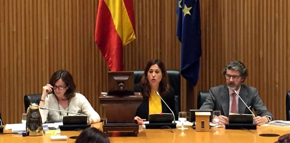 Madrid La vicepresidenta cuarta de la Mesa del Congreso, Rosa Romero, preside la constitución de las comisiones de Igualdad y de Industria, Energía y Turismo Romero
