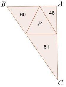 11.- Per a aquest problema es necessita el número P que passa del problema anterior En la figura apareix un triangle ABC descompost en quatre triangles.