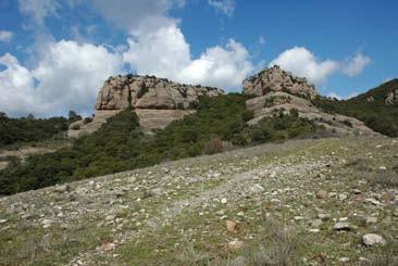 4.1.3.5 Prados de crestas y rellanos ventosos (Erodio-Arenarietum) De esta asociación sólo se hizo una réplica en el Montcau.