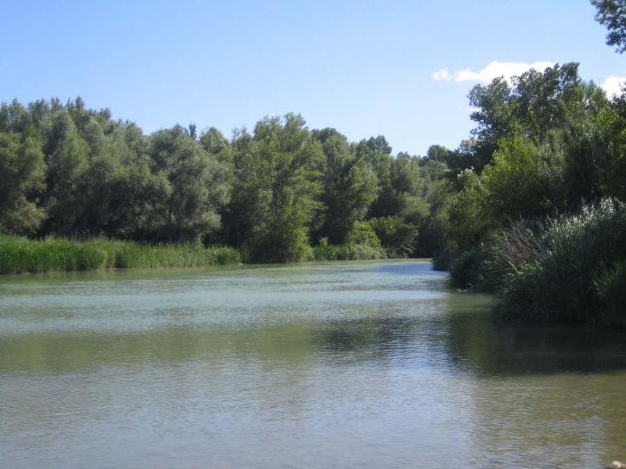 - La gestión de los ecosistemas fluviales está generando importantes conflictos socioambientales. - Existe falta de información y formación sobre el funcionamiento de un río.