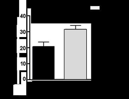 A) y B) La determinación de la viabilidad celular se llevó a cabo mediante la sonda calcein-am, 24 h después del estímulo.