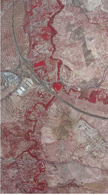 Zona Piloto Hoja 947 (Jaén) Ortoimagen: Tamaño de pixel (GSD=30cm) Cartografía a escala 1:10000