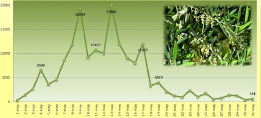 Max. Temperature ( o C) NEWSLETTER MERCADO OLEICOLA Producción mundial de aceite de oliva, campaña 2015-2016 con demasiadas variables aún en juego pero mayor que la campaña anterior e inferior a la