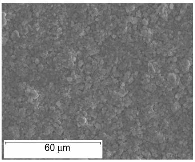 Oxidación Cíclica a b Figura 6.38. Micrografías de las superficies de los recubrimientos de Si depositados sobre el acero a) P-91 y b) HCM-12A, después de 500 ciclos de de 2h a 650 0 C.