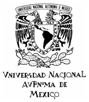 UNIVERSIDAD NACIONAL AUTÓNOMA DE MÉXICO PROGRAMA DE MAESTRÍA Y DOCTORADO EN INGENIERÍA