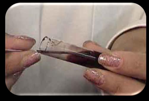 1 Extraiga sangre del tubo o frasco con una pipeta Pasteur.