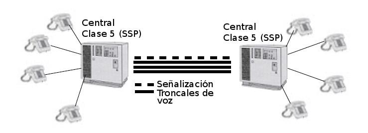Los Service Switching Point (SSP) son los nodos SS7 ubicados en los puntos donde hay terminales de usuarios. Son por tanto, los puntos de ingreso o egreso a la red SS7.