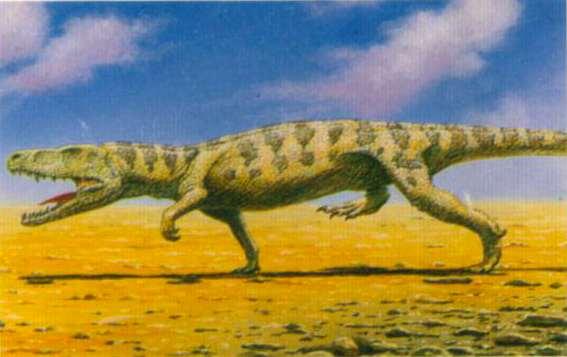 diversificación como los dinosaurios, cocodrilos y los pterosaurios Los arcosaurios del Triásico se suelen agrupar en un grupo parafilético (