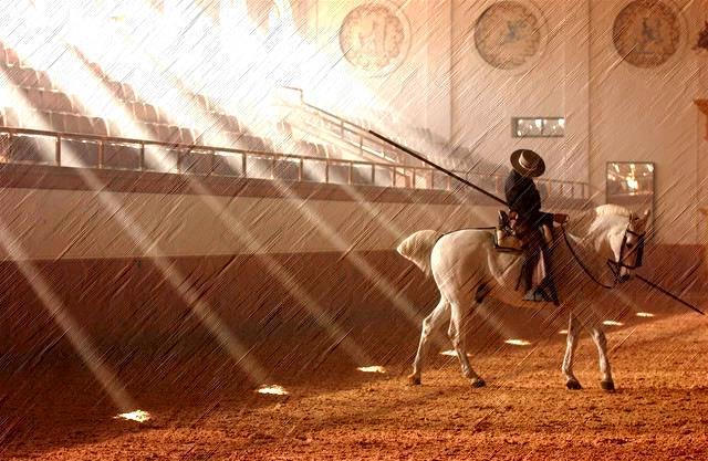Caballos El caballo se convierte en arte en Andalucía.