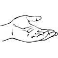 Enderezar Enderezar el codo para mover la mano lejos del cuerpo se llama extension Doblar Doblar el codo para mover la mano hacia el cuerpo se llama flexion Palma Hacia Arriba Rotar el antebrazo para
