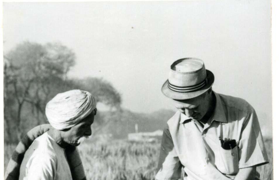 Borlaug El