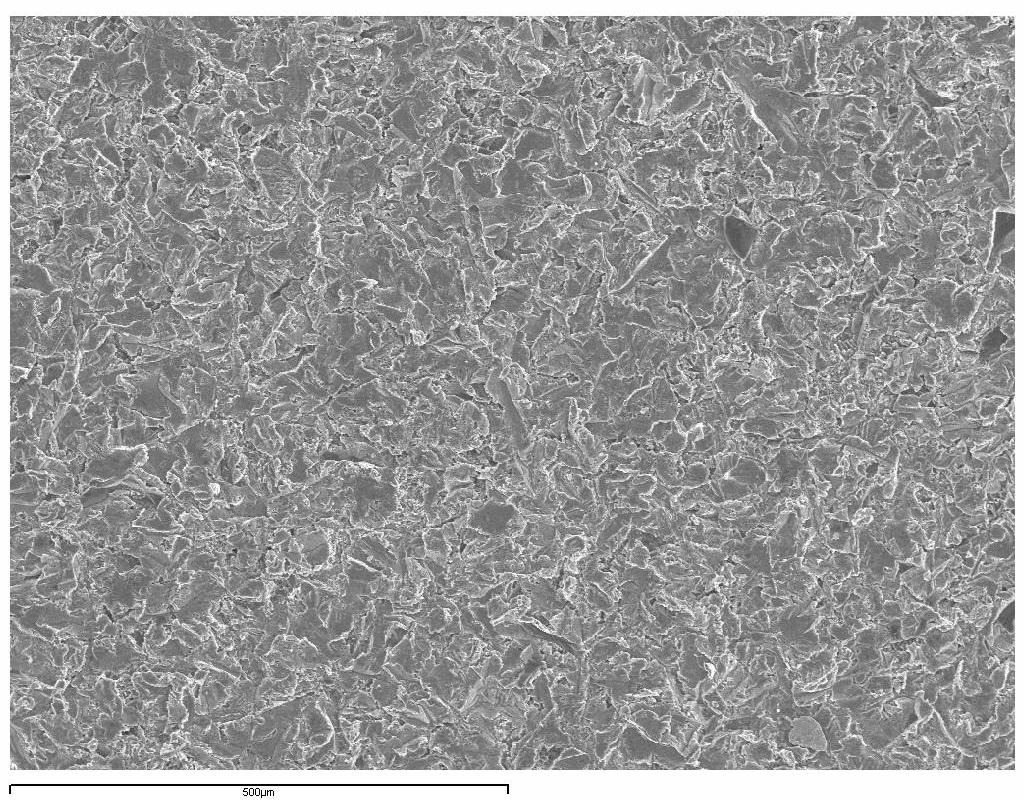 Propiedades superficiales del Ti c.p., esterilizado y rugoso, para aplicaciones biomédicas 48 Micrografías de Si2 Figura 7.