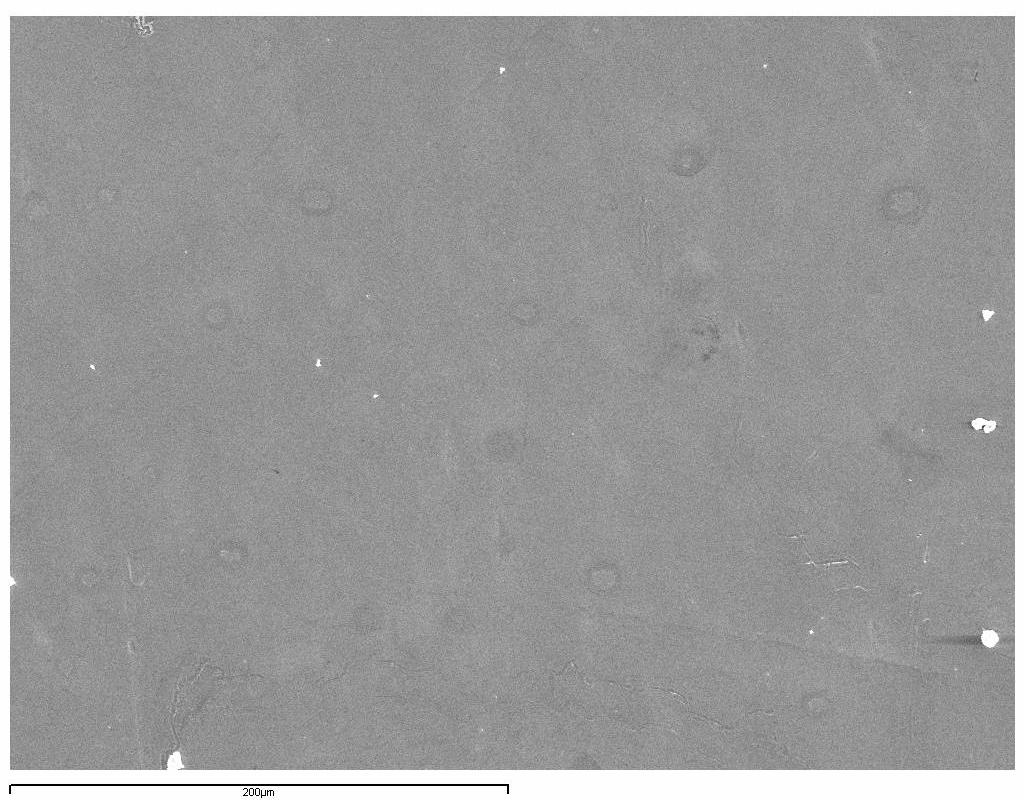 silicio 300 [850x] Micrografía de la probeta lisa Figura 7.