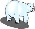El 27 de febrero es el Día del Oso Polar. Qué sabes de los osos polares?