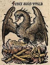 EL AVE FÉNIX El ave Fénix es un pájaro mítico de la mitologí griega, que se consumía por acción del fueg cada 500 años, pero luego resurgía de su propias cenizas.