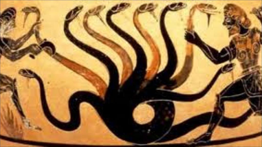 LA HIDRA La Hidra de Lerna era un despiadado monstruo acuático con forma de serpiente, de nueve cabezas y aliento venenoso, al que Hércules H mató en el segundo de sus doce trabajos.