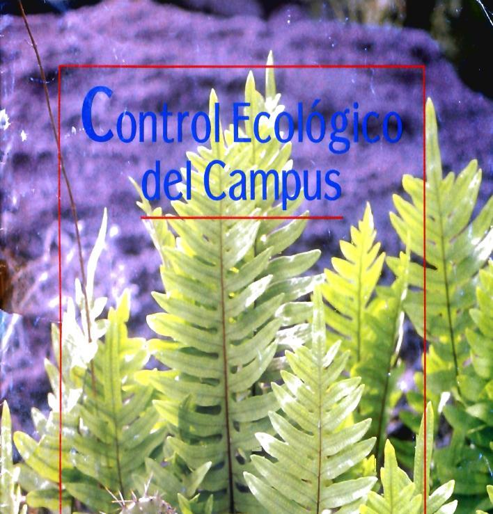 Antecedentes El proyecto de control ecológico del campus (1993-1999) Control del eucalipto: Se eliminaron 7,072