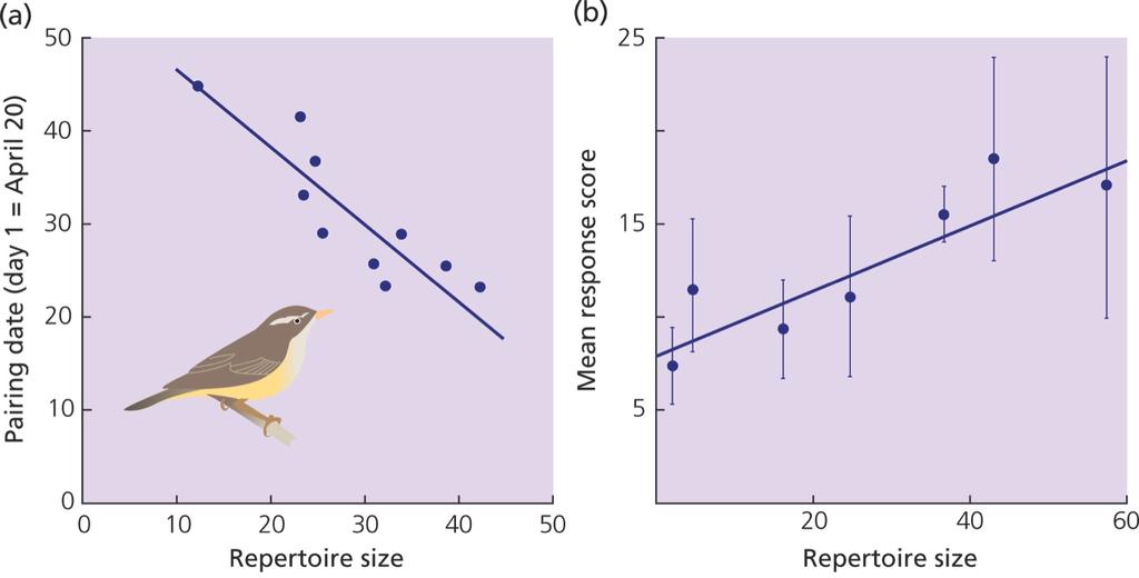 Selección sexual por otros indicadores de buenos genes a) En arañeros (Acrocephalus schoenobaenus) los machos con un mayor repertorio vocal estimado a partir de sonogramas se aparearon más