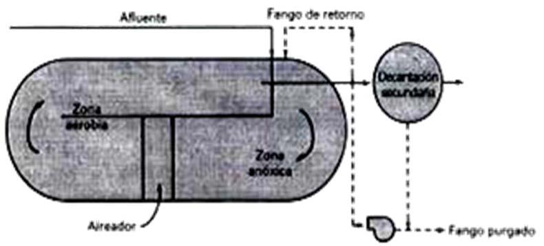 Aireación prolongada: Funciona en la fase de respiración endógena Requiere una carga orgánica reducida y un largo periodo de aireación En el mismo tanque suele tener lugar la decantación de los
