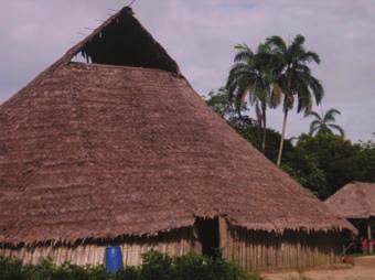 94 sean enteras, partidas, trenzadas o superpuestas, son utilizadas para el techado de viviendas, especialmente en la Amazonía y en el Chocó 20,61,62.