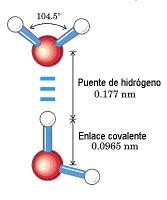 Estos enlaces de hidrógeno se forman y se escinden a gran velocidad, aunque su estabilidad disminuye al elevarse la temperatura.