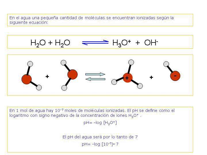 Las sustancias ácidas al disolverse en agua se disocian y producen iones H+ que aumentan la concentración de iones H 3 O + del medio.