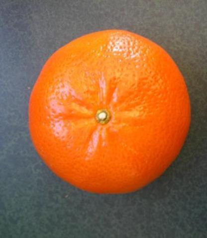 RHM Mandarin Mandarina tardía (5 a 4 semanas antes que Nadorcott) Color externo naranja intenso, muy pocas semillas, pelado fácil, sin aceites esenciales