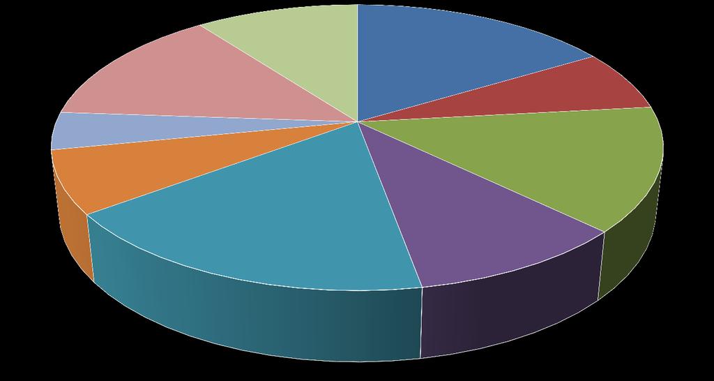 E. CRONICAS, INFLAMATORIAS, NEFROLOGICAS Y RESPIRATORIAS 14% BIOTECNOLOGIA, BIOINGENIERIA Y TECNOLOGÍAS GENÓMICAS 4% Distribución de la financiación de los PI por áreas temáticas ENFERMEDADES