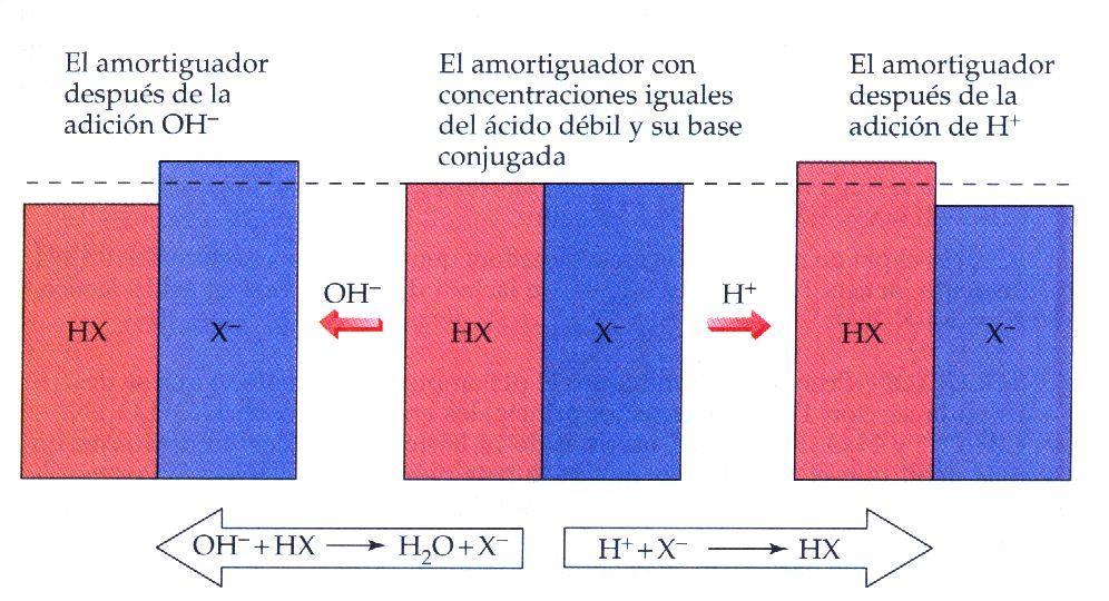 Disoluciones amortiguadoras o tampón: Disoluciones que mantienen un ph aproximadamente constante cuando se agregan pequeñas cantidades de ácido o base o cuando se diluyen.