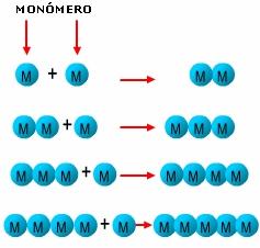 2. Explica una reacción para polimerizar por condensación. En una polimerización por condensación no todos los átomos del monómero inicial forman parte del polímero.
