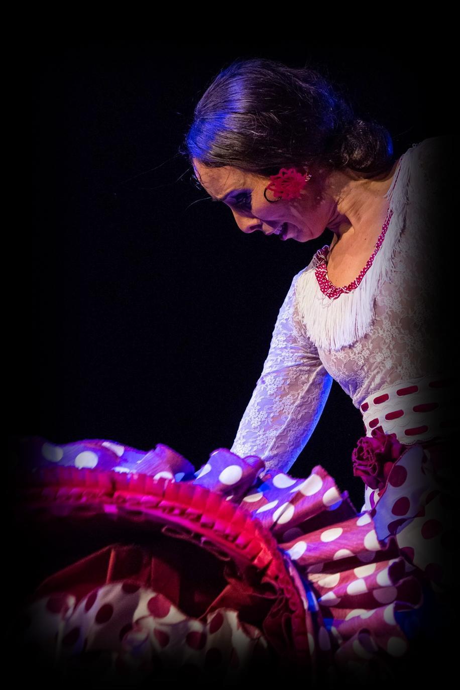 Miembro del cuerpo de baile de las siguientes compañías: - Ballet de Inmaculada Aguilar, dentro del circuito Flamenco viene del Sur, pasando por: Teatro Darymelia de Jaén, Gran Teatro de Córdoba,