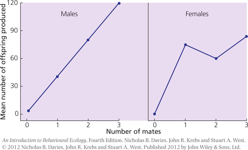 Anisogamia y selección sexual La asimetría en la inversión parental entre machos y hembras se inicia con la anisogamia y resulta en que, generalmente, las hembras son el recurso limitante y los