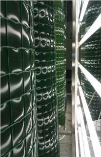 GI Biotecnologia de Algas - Producción de Microalgas Escala laboratorio ALGAL ROOM, CONTROLLED BIOREACTORS Sistemas