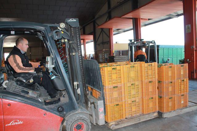 LAS PROFESIONES DE LA ALCACHOFA Además, se necesitan transportistas para trasladar la mercancía al punto de venta, ingenieros de alimentación para garantizar la calidad del producto, investigadores