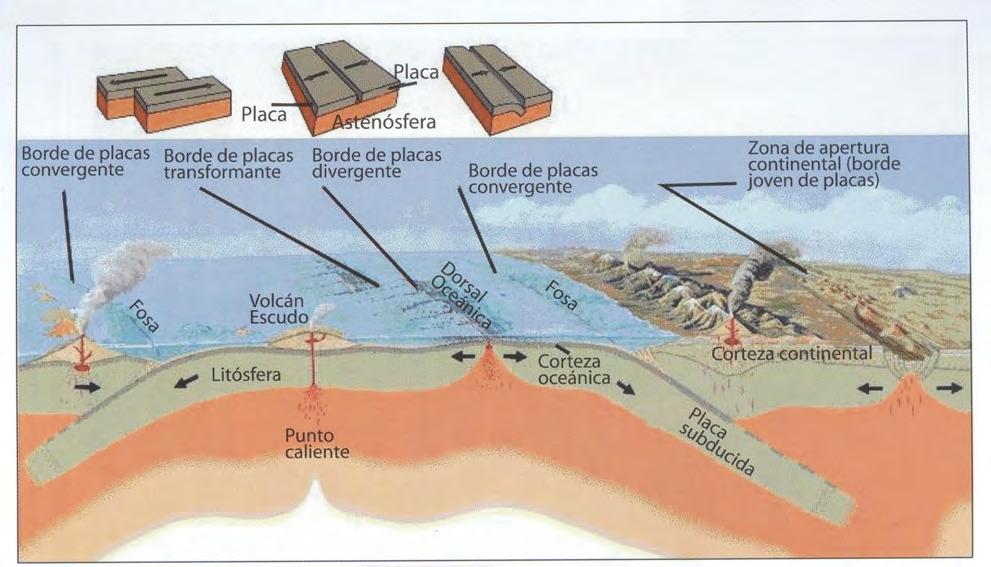 16: Características del contacto entre las placas de Nazca y Sudamericana en la zona del Ecuador.