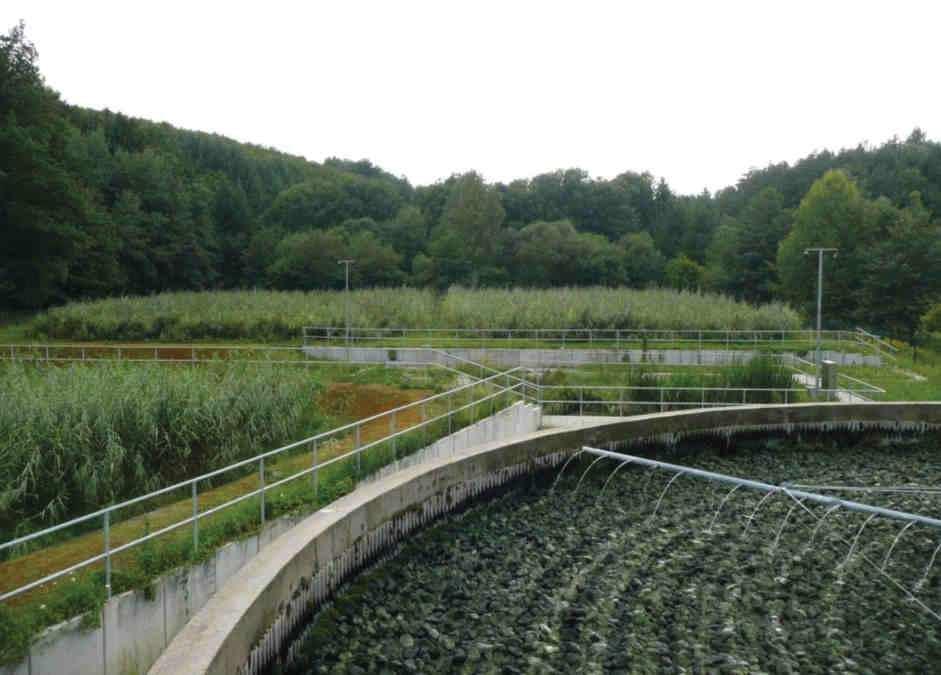 Ampliación de planta de filtro percolador mediante humedales artificiales Planta tratadora de aguas residuales Bechhofen Propietario y empresa operadora: VGW Zweibrücken-Land