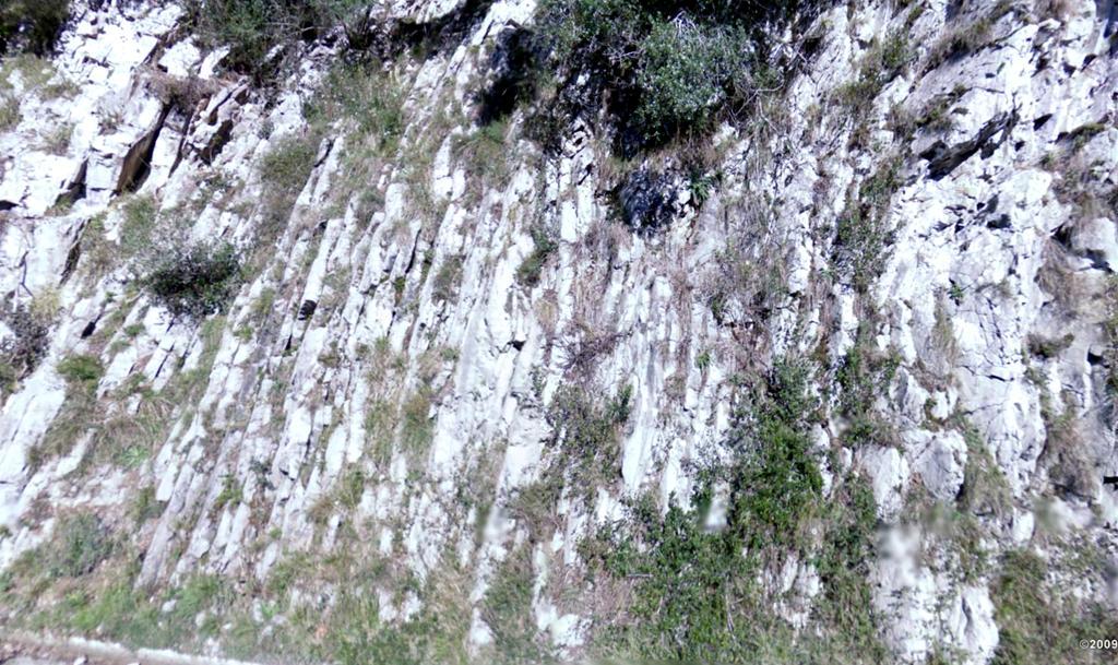 Rocas tableadas-calizas oscuras fétidas, Namuriense,