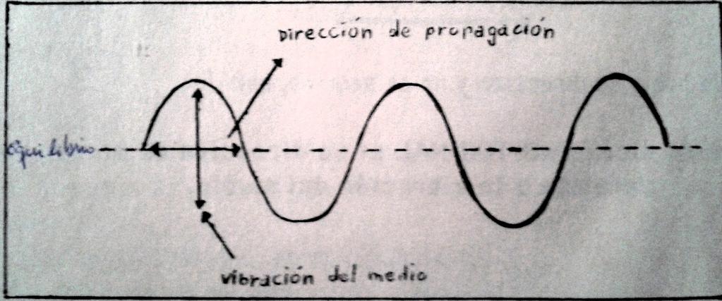 Curso de Física para Primero Medio 2013 4 4. Cómo viajan las ondas? CÓMO VIAJAN LAS ONDAS?