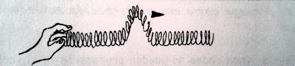 Empuje con la mano, por un instante, el resorte en uno de sus extremos, provocando un acortamiento instantáneo de un sector, tal como se ilustra en la figura 6. Figura 6: Generando un tipo de onda. 3.