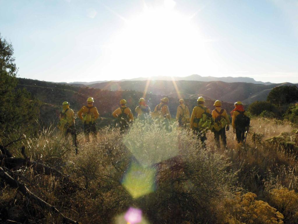 Reconocimiento a Brigadas de Combatientes de Incendios Forestales y Técnicos