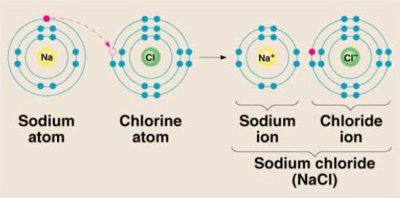 Enlace Químico Tipos de enlace Covalente Iónico Metálico Teoría del orbital molecular