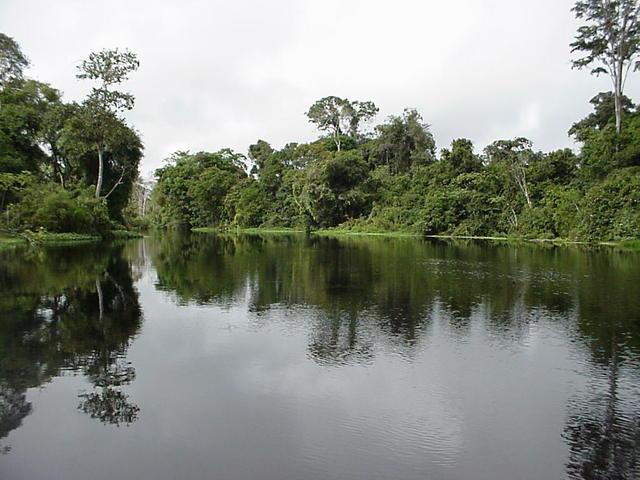 LA REGIÓN Y SUS AGUAS Iquitos es la capital del departamento de Loreto, el mayor y más selvático del Perú, haciendo frontera con Ecuador y Colombia al Norte y Brasil al Sur.