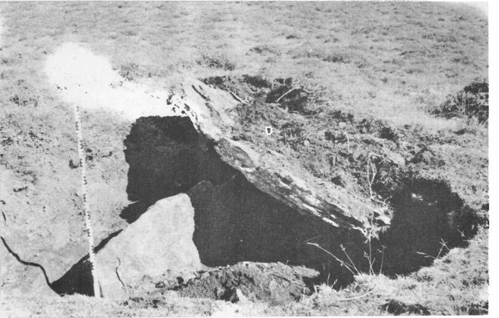 En el momento de la excavación presentaba un crater central en uno de cuyos lados aparecía una gran losa inclinada hacia el centro y asomaba ligeramente el vértice de otras, así como tres losas