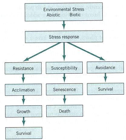 Estrés ambiental abiótico Respuesta al estrés Tolerancia Susceptibilidad