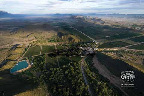 Casa MADERO A l pie de la Sierra Madre Oriental, en la región sur central del estado de Coahuila, se encuentra el fértil Valle de Parras, región que alberga los viñedos y bodega de Casa Madero, la