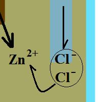 d) e) Por cada dos iones potasio que pasan a la celda del cobre, dos iones cloruro pasan a la celda del zinc.