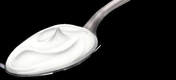 l progreso tecnológico dio a la industria alimentaria la capacidad de desarrollar yogurt con gran variedad de ingredientes y en diversas presentaciones.