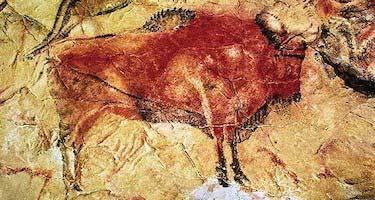 LAS PINTURAS RUPESTRES En el paleolítico los humanos realizaban pinturas