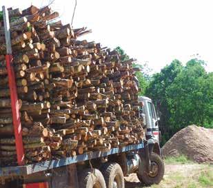 Una demanda important de biomassa local arribarà a incentivar la gestió forestal en zones actualment abandonades, i d aquesta manera es millorarà l estat dels nostres boscos i es potenciarà la