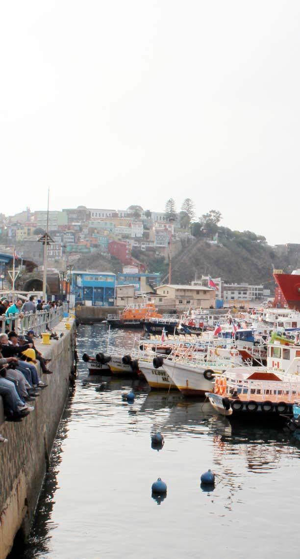 PROTECCIÓN G4-2 49 Puerto Valparaíso cuenta con sistemas de monitoreo y vigilancia en todas sus instalaciones, los que le permiten cautelar el correcto flujo de las cargas, asegurando su entrega en